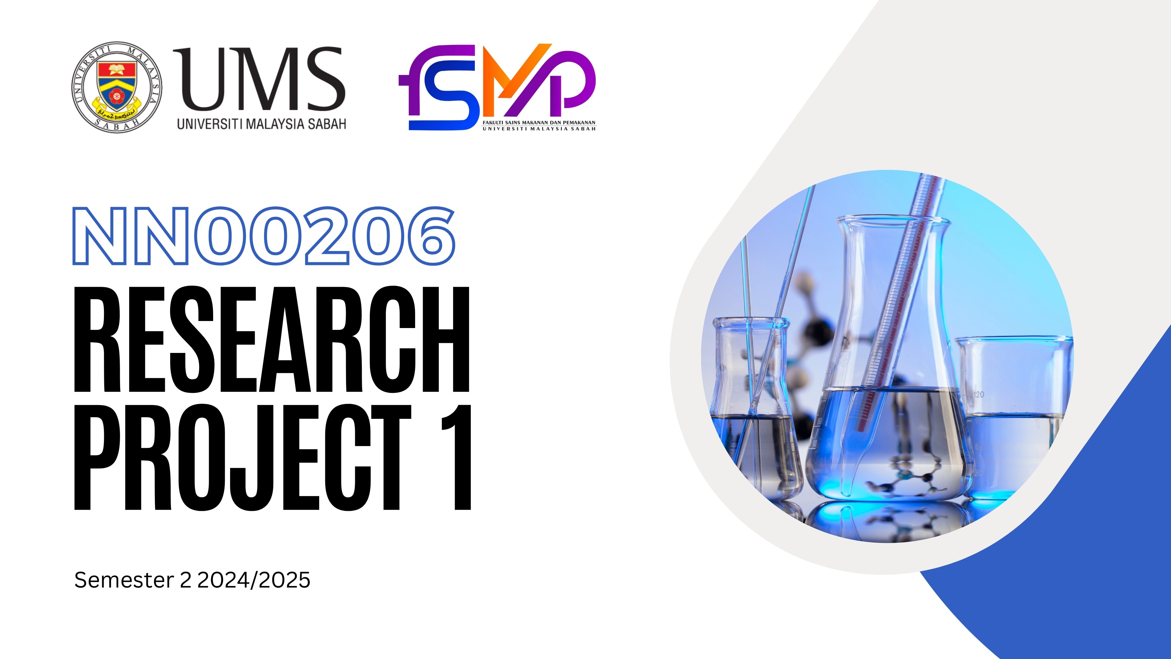 NN00206 PROJEK PENYELIDIKAN 1 [2-2024/2025]