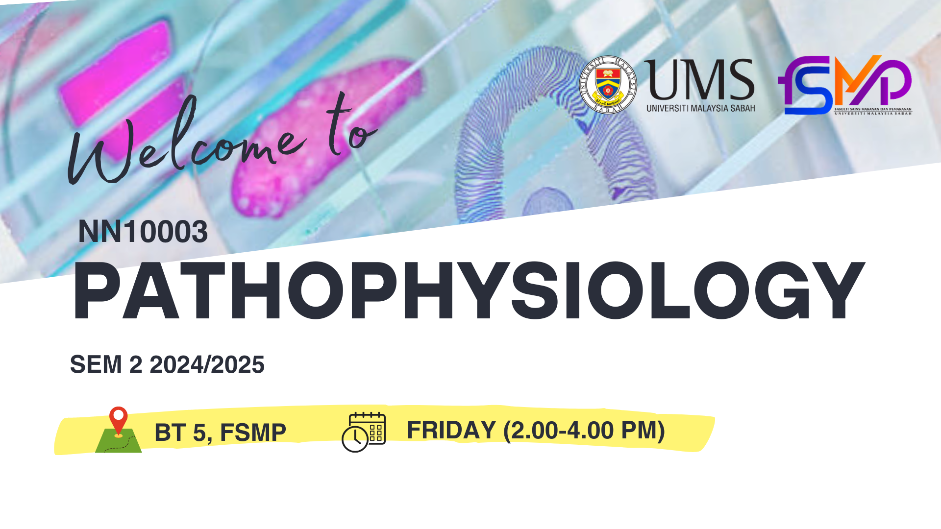 NN10003 PATOFISIOLOGI [2-2024/2025]