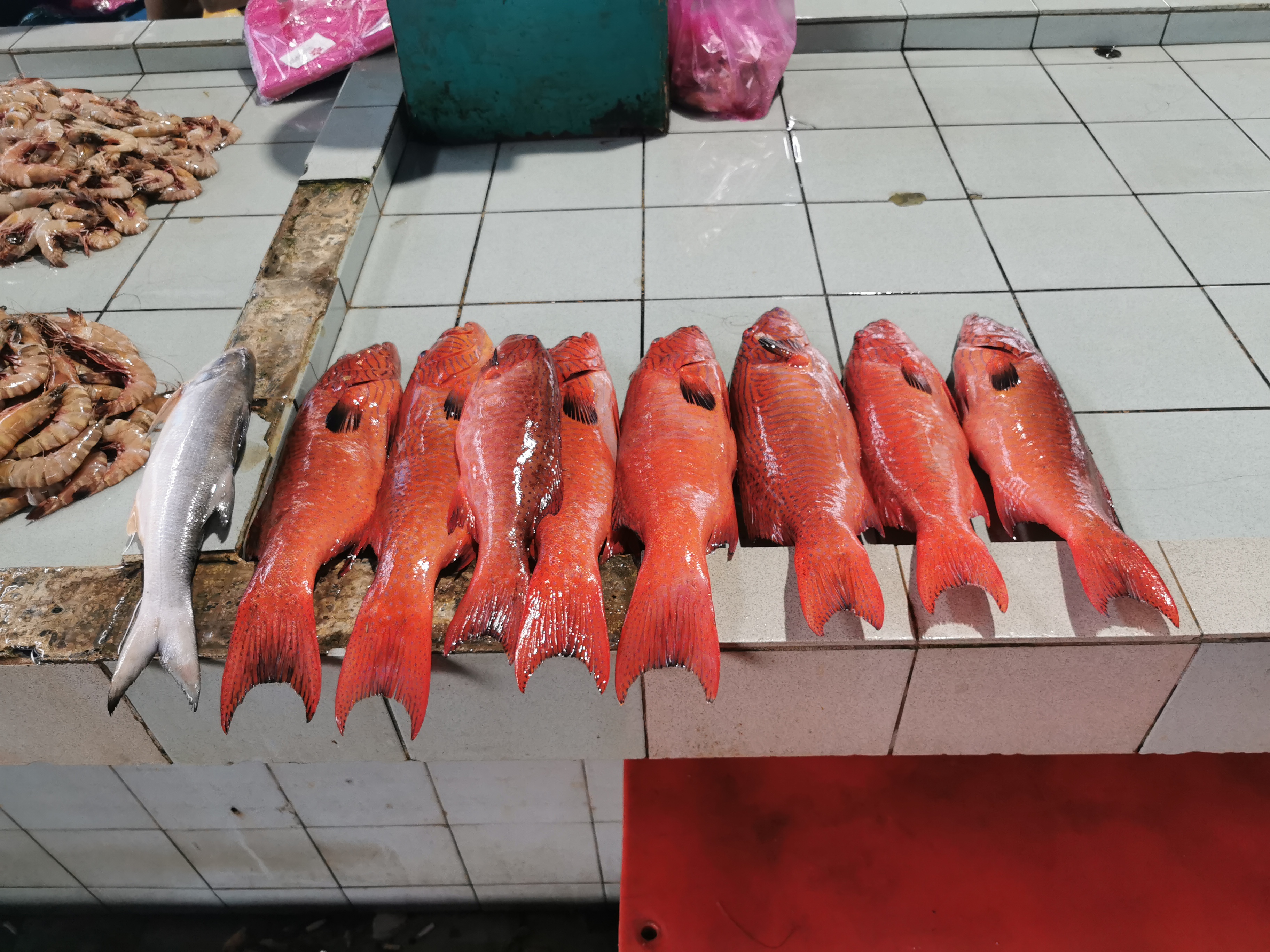 SQ21202 PENGURUSAN SUMBER PERIKANAN [2-2024/2025]