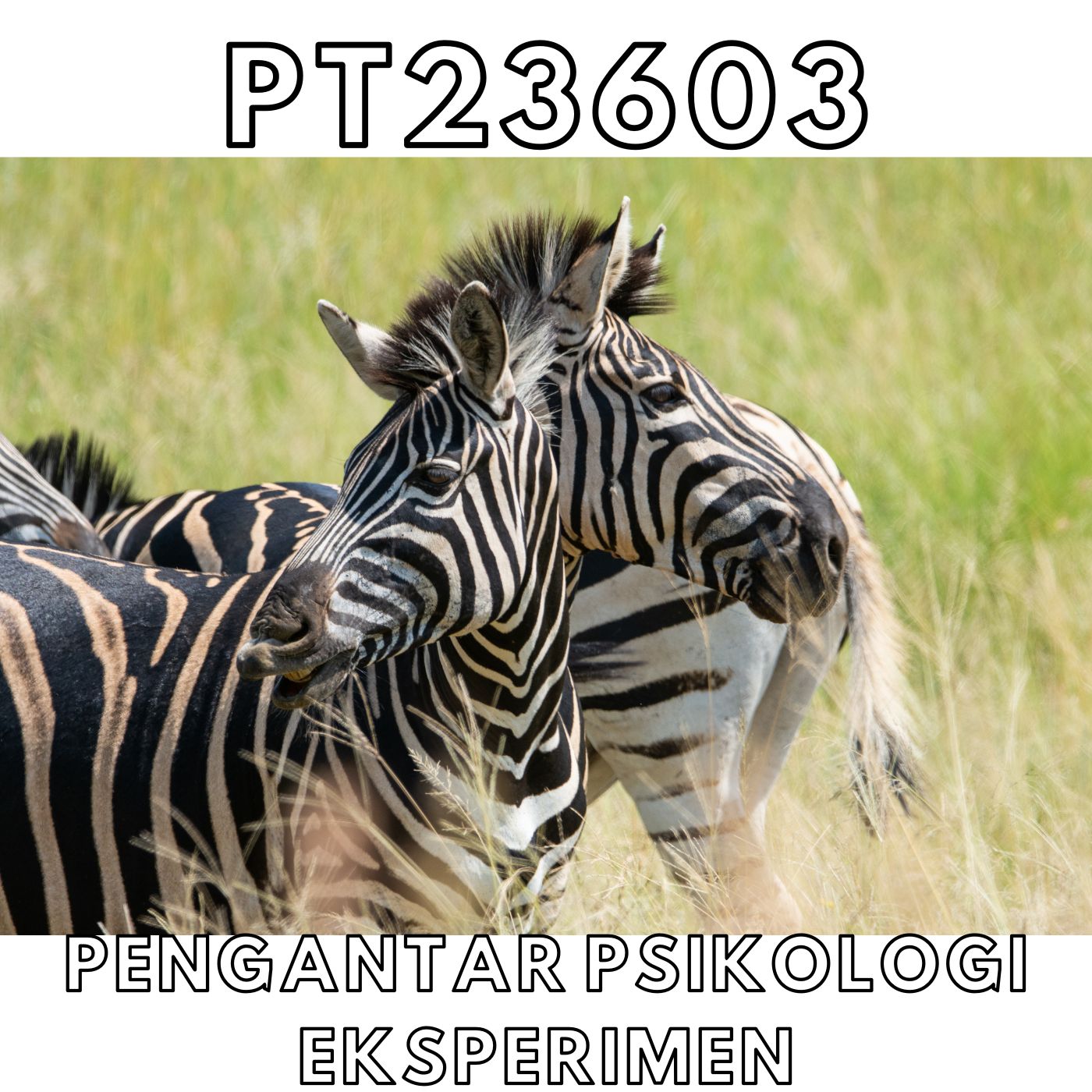 PT23603 PENGANTAR PSIKOLOGI EKSPERIMEN [2-2025/2026]