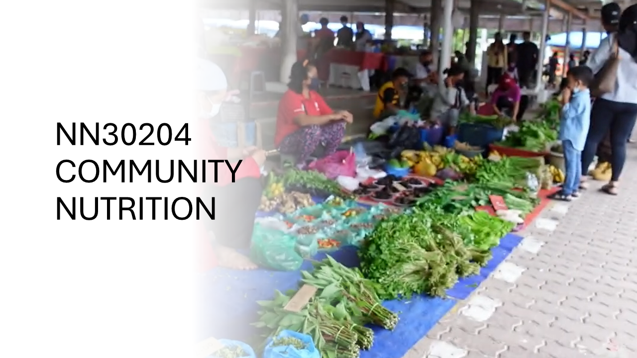 NN30204 PEMAKANAN KOMUNITI [2-2025/2026]