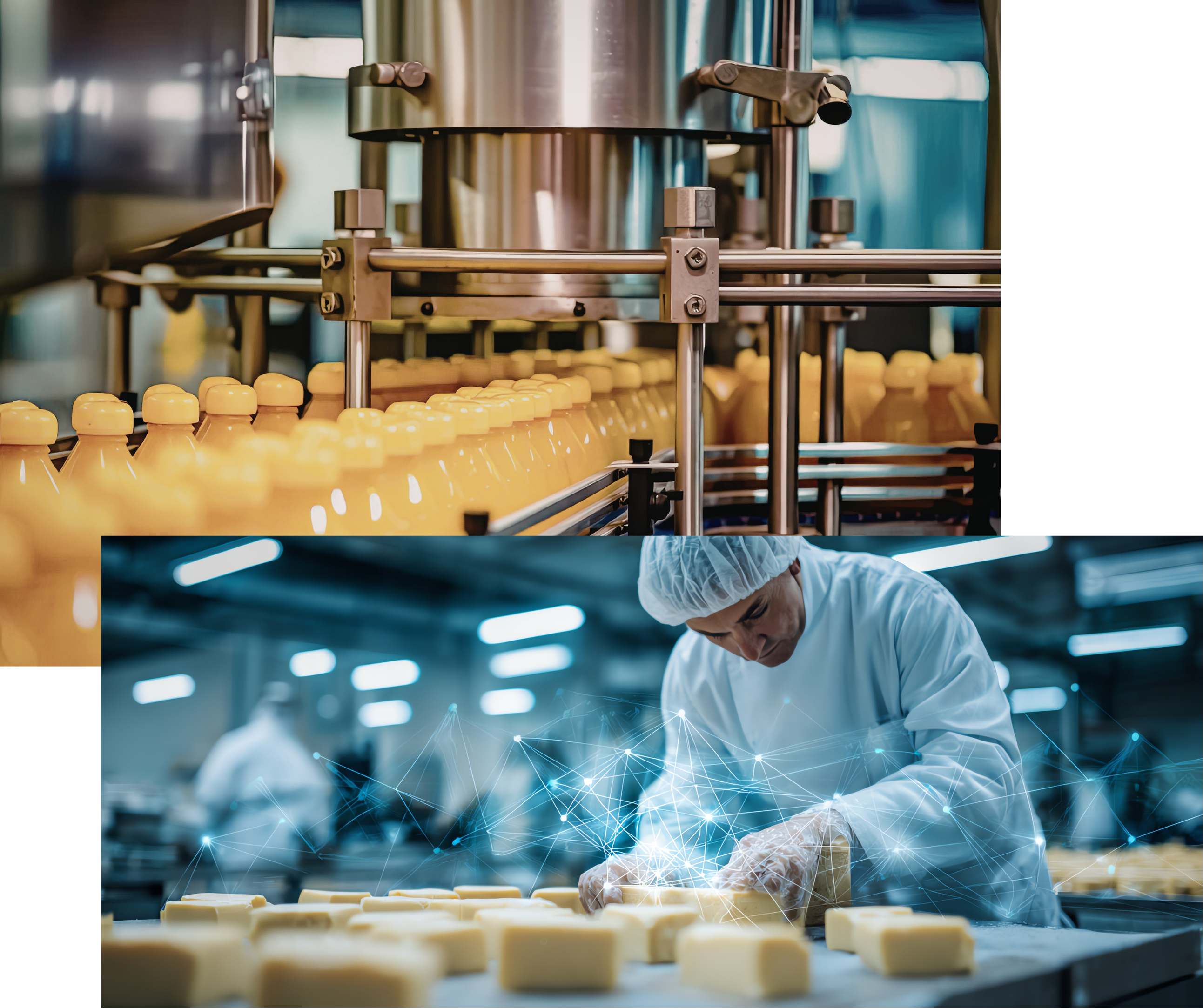 NP31603 PEMPROSESAN MAKANAN [2-2025/2026]