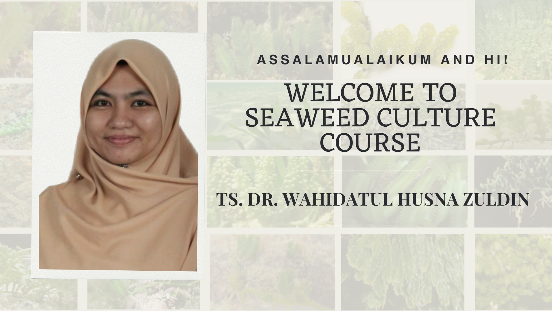 SQ31403(SEKSYEN 701 UMSFLEC) PENGKULTURAN RUMPAI LAUT [2-2025/2026]