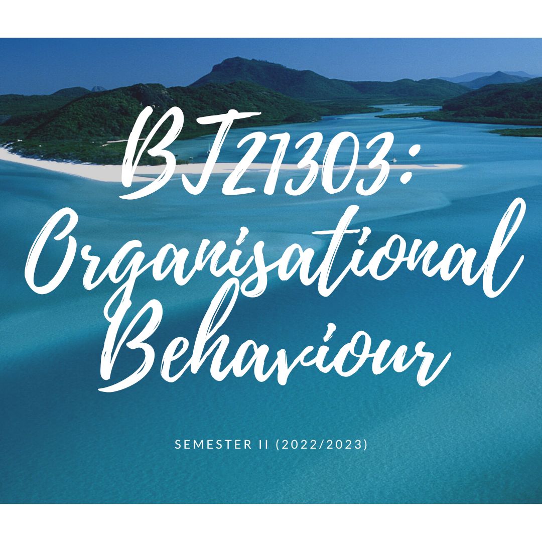 BT21303(PLUMS) ORGANISATIONAL BEHAVIOUR [2-2022/2023]