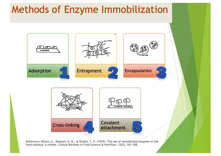 NB20502 ENZIMOLOGI MAKANAN [2-2022/2023]