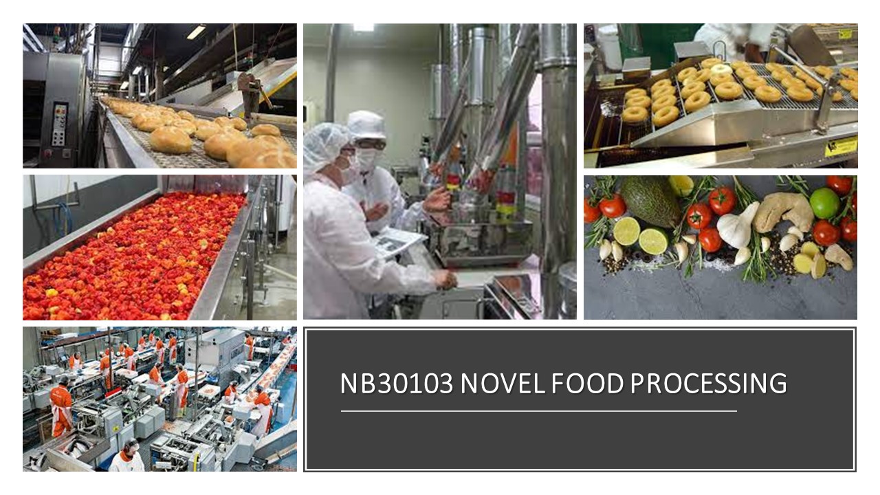 NB31003 PEMPROSESAN MAKANAN NOVEL [2-2022/2023]