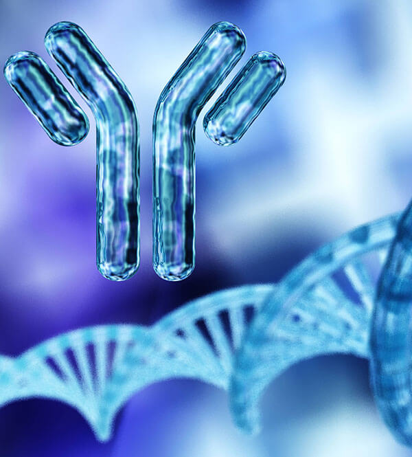 NN20403 IMUNOLOGI [2-2022/2023]