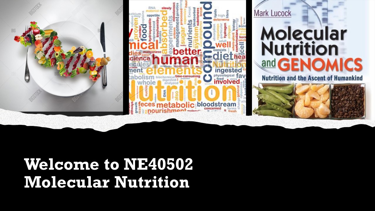 NE40502 PEMAKANAN MOLEKULAR [2-2022/2023]