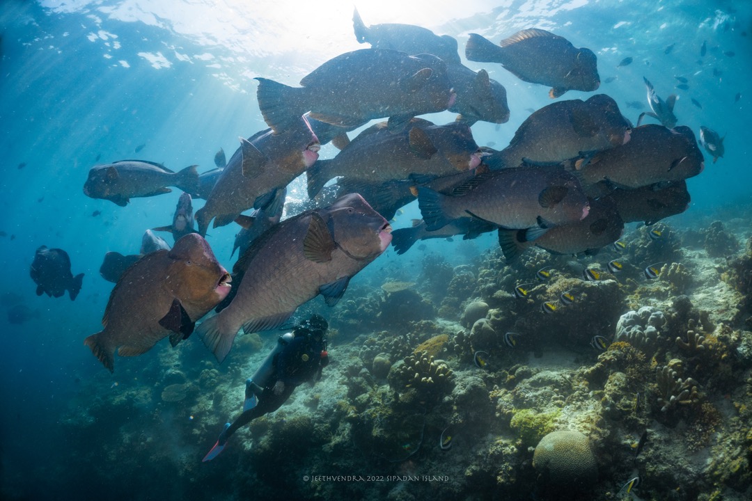 SL31103 ENVIRONMENTAL LAW AND ETHICS [2-2022/2023]