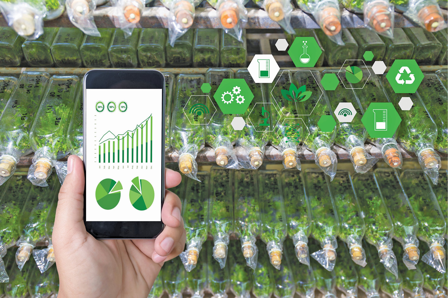 RL31301 AMALAN KEUSAHAWANAN TANI 2 [1-2023/2024]