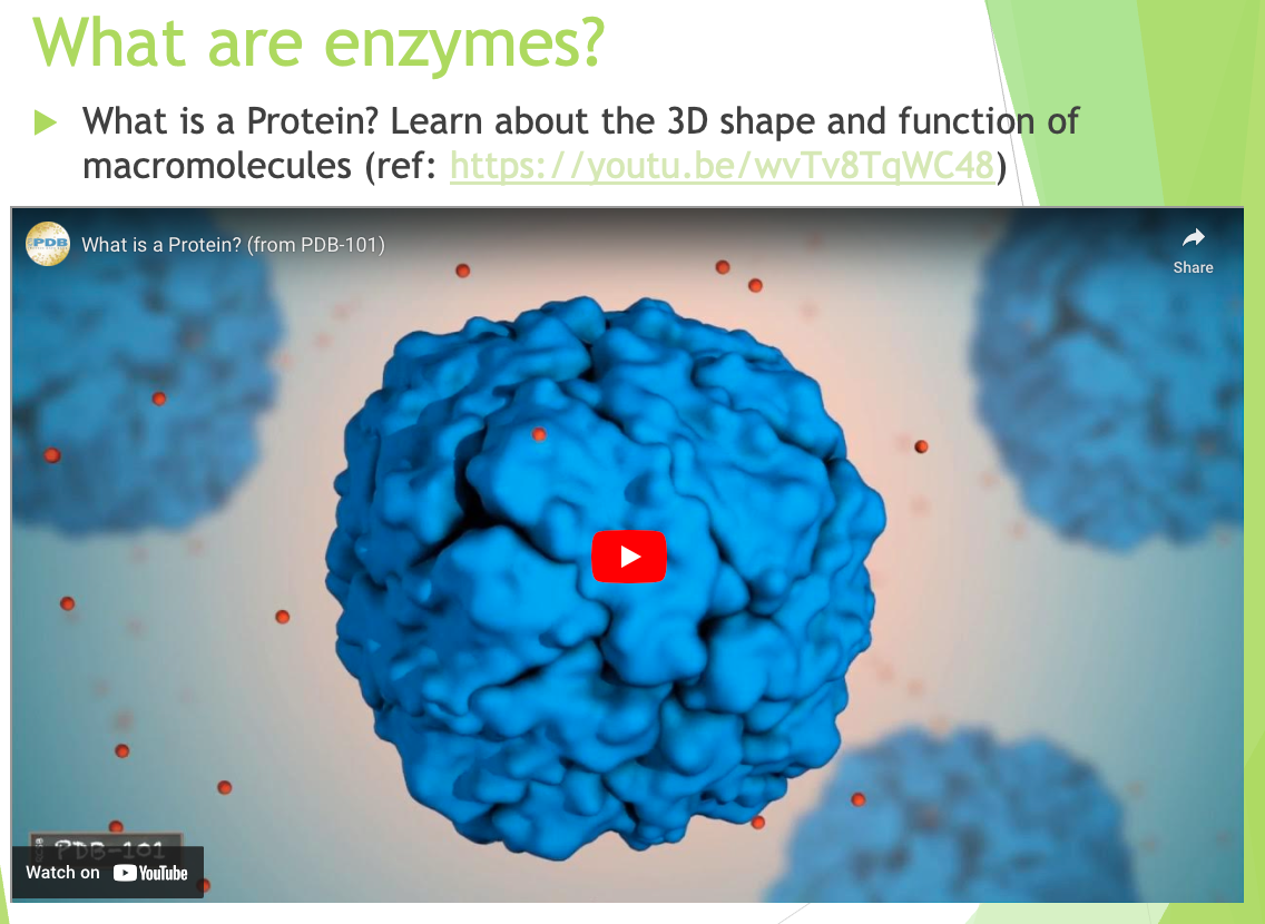 NB20502 ENZIMOLOGI MAKANAN [1-2023/2024]