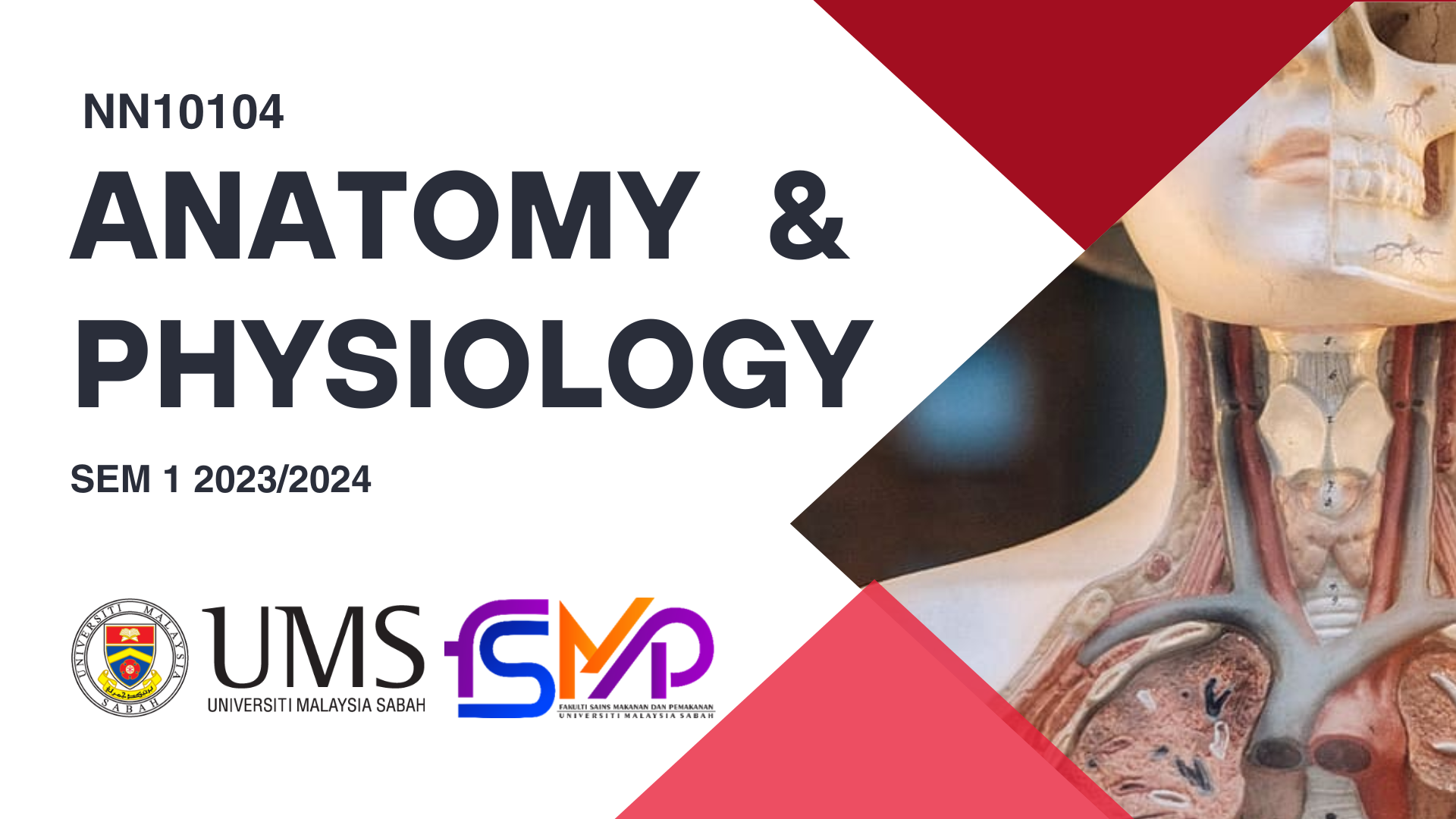 NN10104 ANATOMI DAN FISIOLOGI [1-2023/2024]