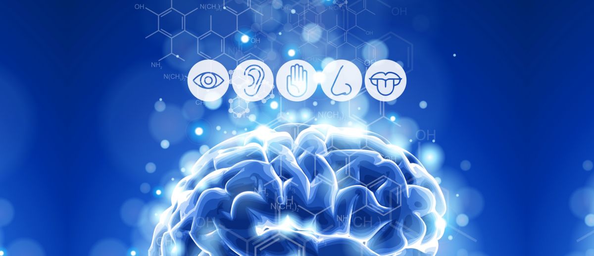 NT31103 PENILAIAN DERIA MAKANAN [1-2023/2024]