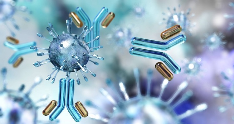 SY22303 IMMUNOLOGI [1-2023/2024]