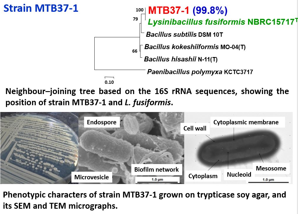 RT20203 MIKROBIOLOGI PERTANIAN [2-2022/2023]