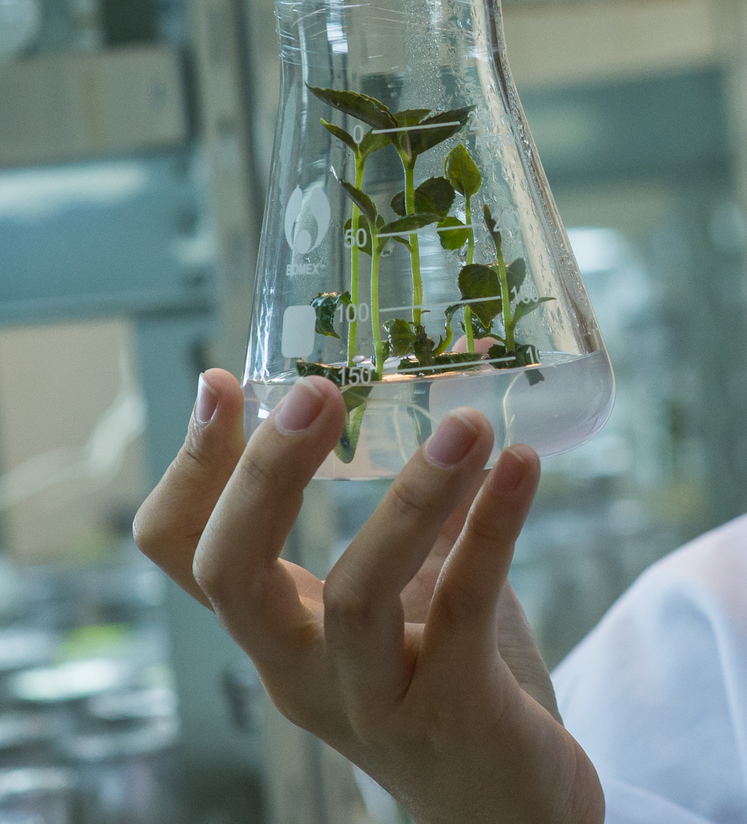 SY22403 PRINSIP KULTUR SEL DAN TISU  [2-2022/2023]