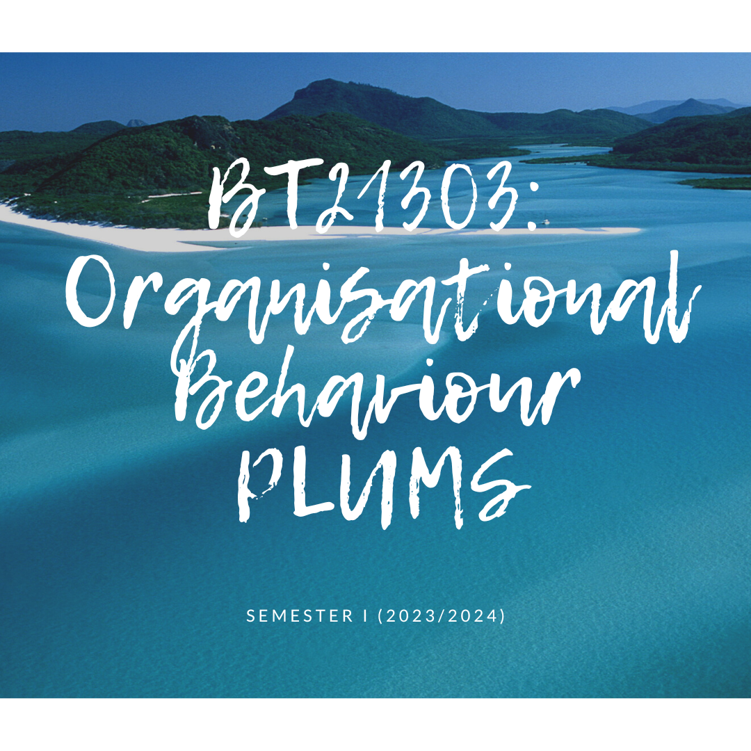 BT21303(PLUMS) ORGANISATIONAL BEHAVIOUR [1-2023/2024]