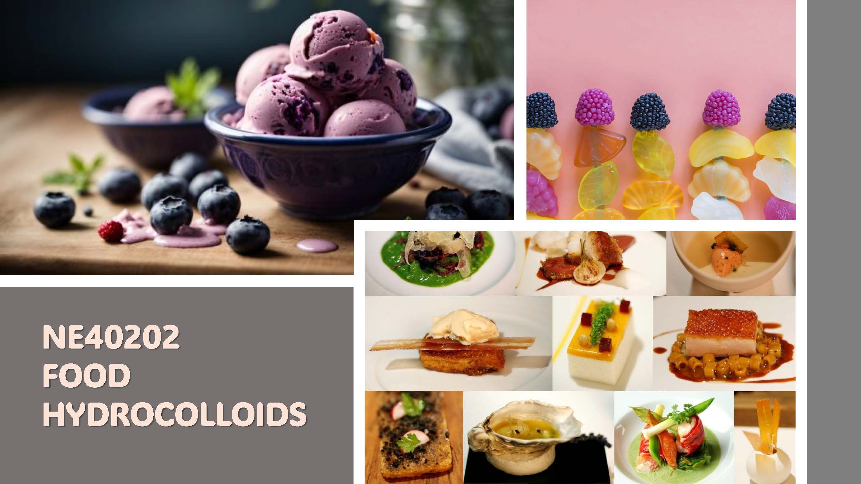 NE40202 HIDRAKOLOID MAKANAN [2-2023/2024]