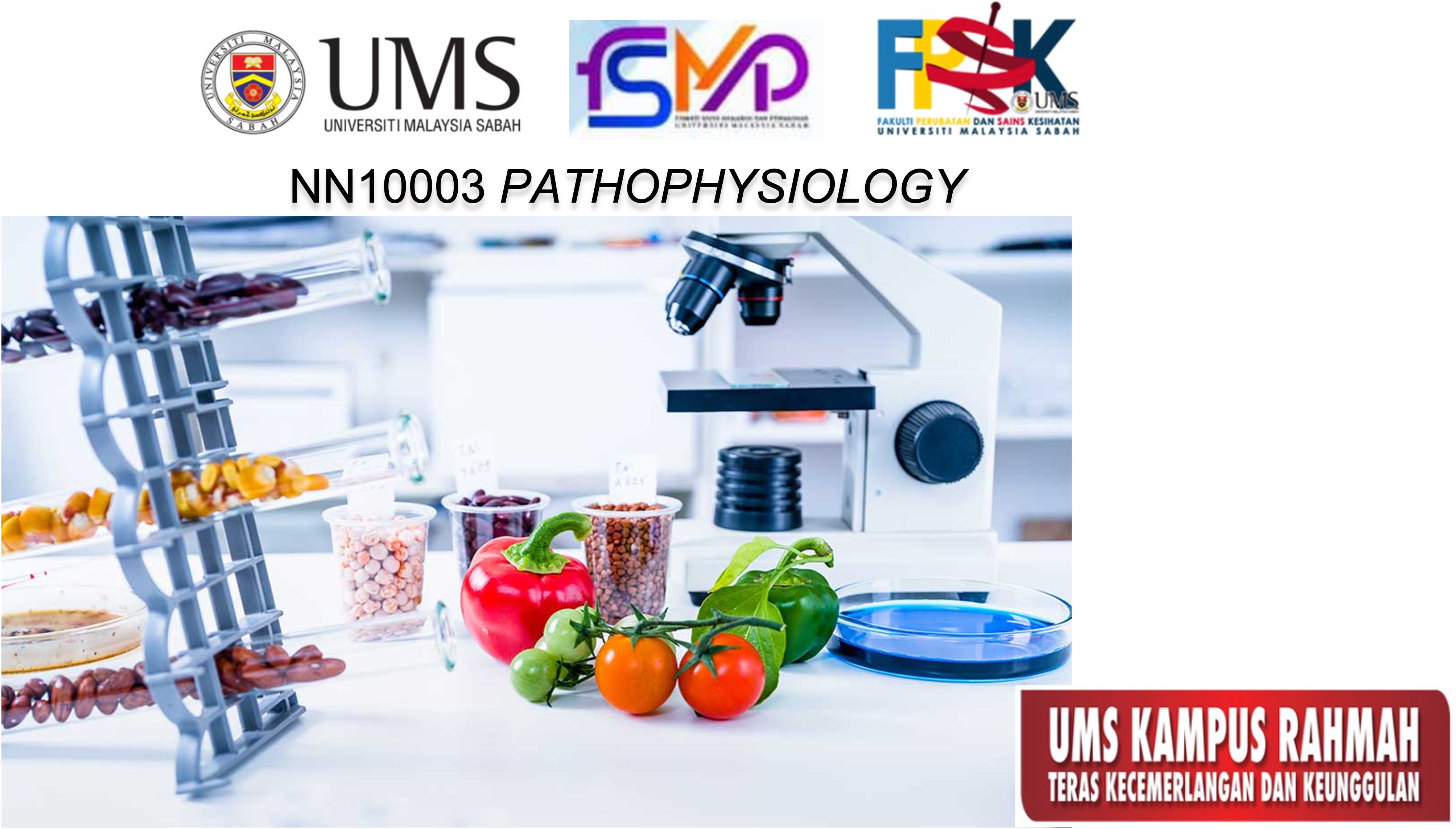 NN10003 PATOFISIOLOGI [2-2023/2024]