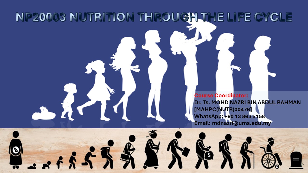 NP20003 PEMAKANAN DALAM KITARAN HIDUP [2-2023/2024]