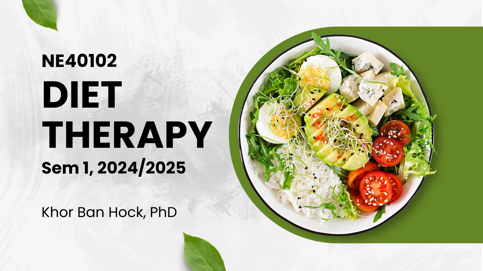 NE40102 TERAPI DIET [1-2024/2025]