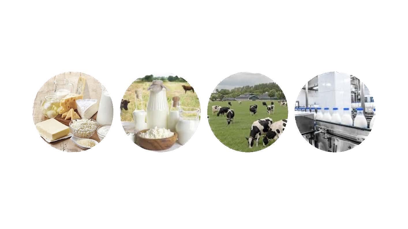 NE40702 TEKNOLOGI DAN SAINS TENUSU [1-2024/2025]