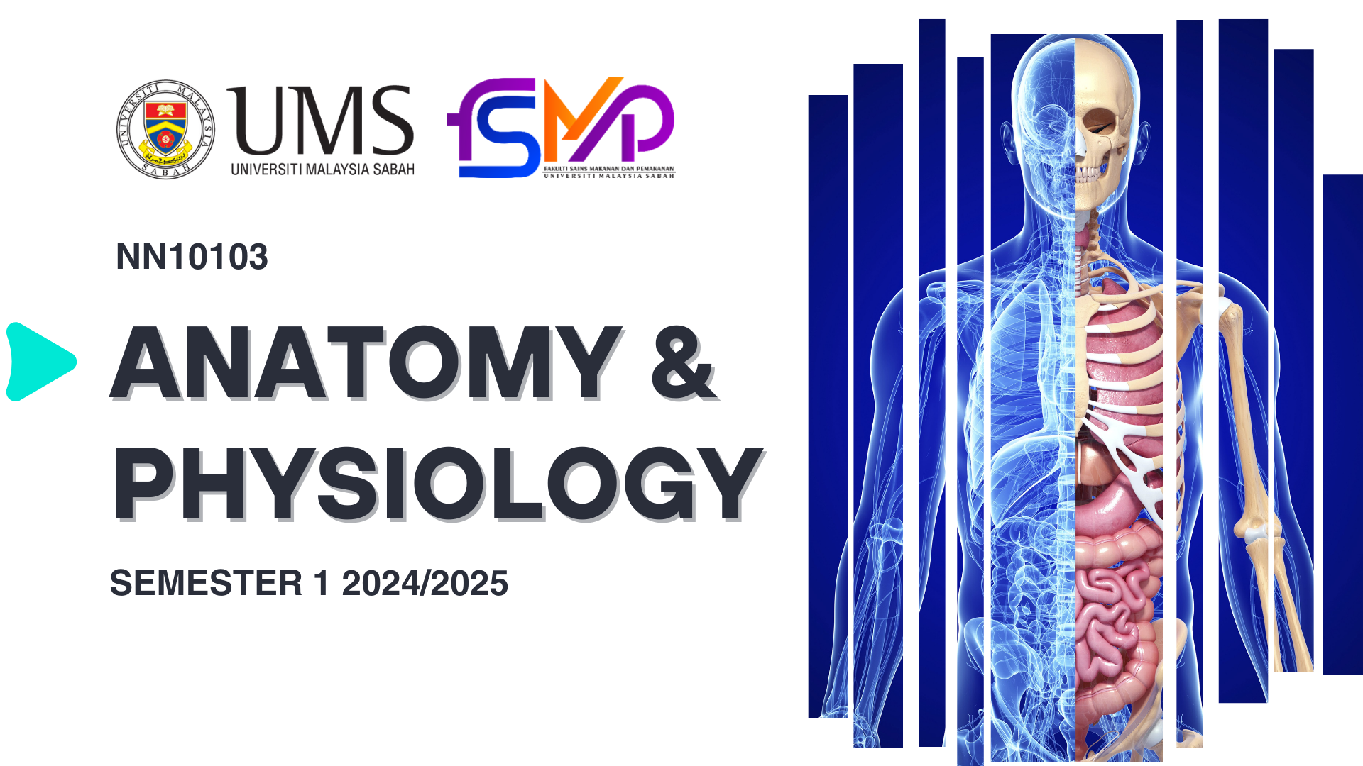 NN10103 ANATOMI DAN FISIOLOGI [1-2024/2025]