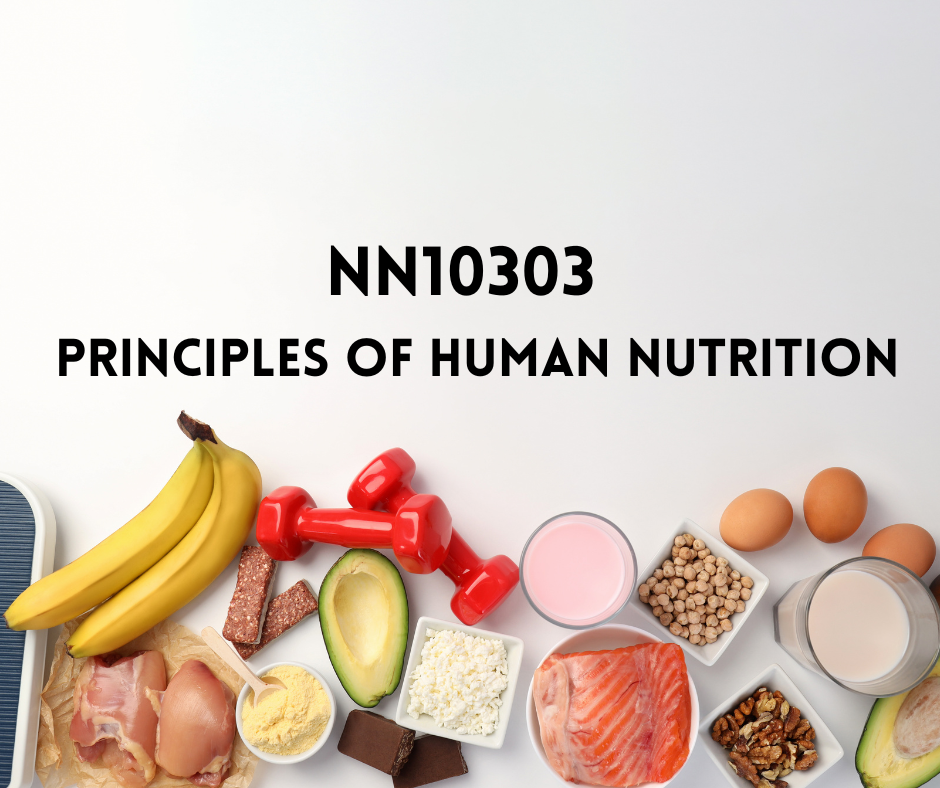 NN10303 PRINSIP PEMAKANAN MANUSIA  [1-2024/2025]